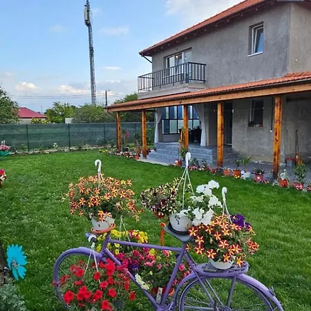 Casa Alesia Vakantiehuis Două Mai